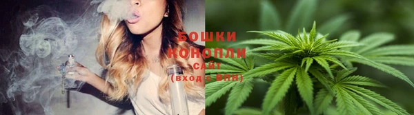 крисы Лабытнанги