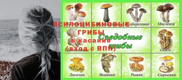 каннабис Абаза