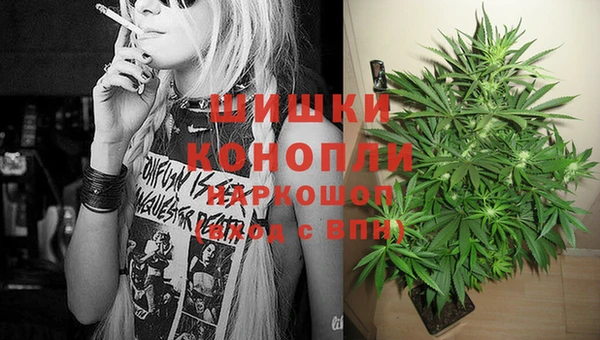 спиды Ладушкин